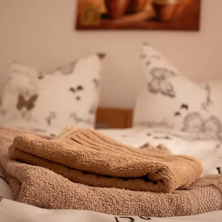 アパート Altstadtidyll 60qm - - Parking - Washer *